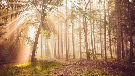 LPL赛区战队高额投入未入全球总决赛，电竞行业竞争下的阵容调整与反思-JJB电竞